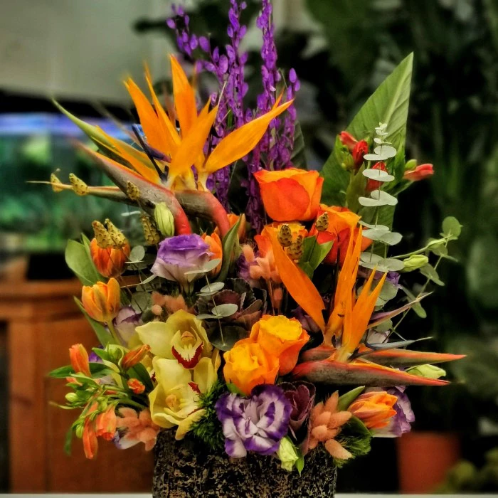 Cennet Kuşu Çiçeği