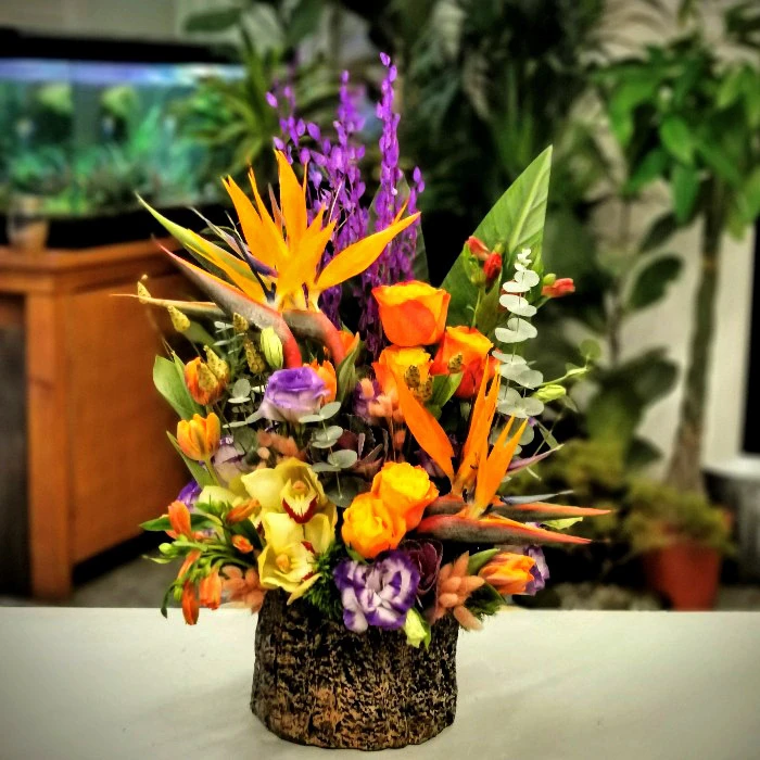 Cennet Kuşu Çiçeği