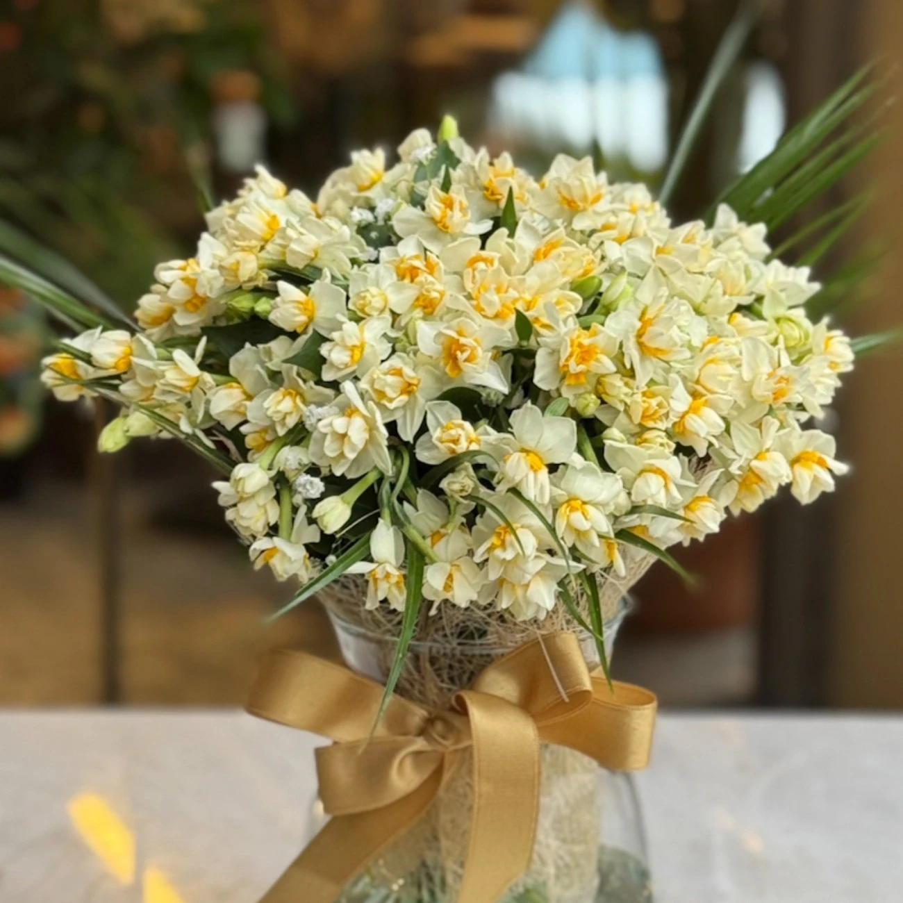 Mis Kokulu Nergisler