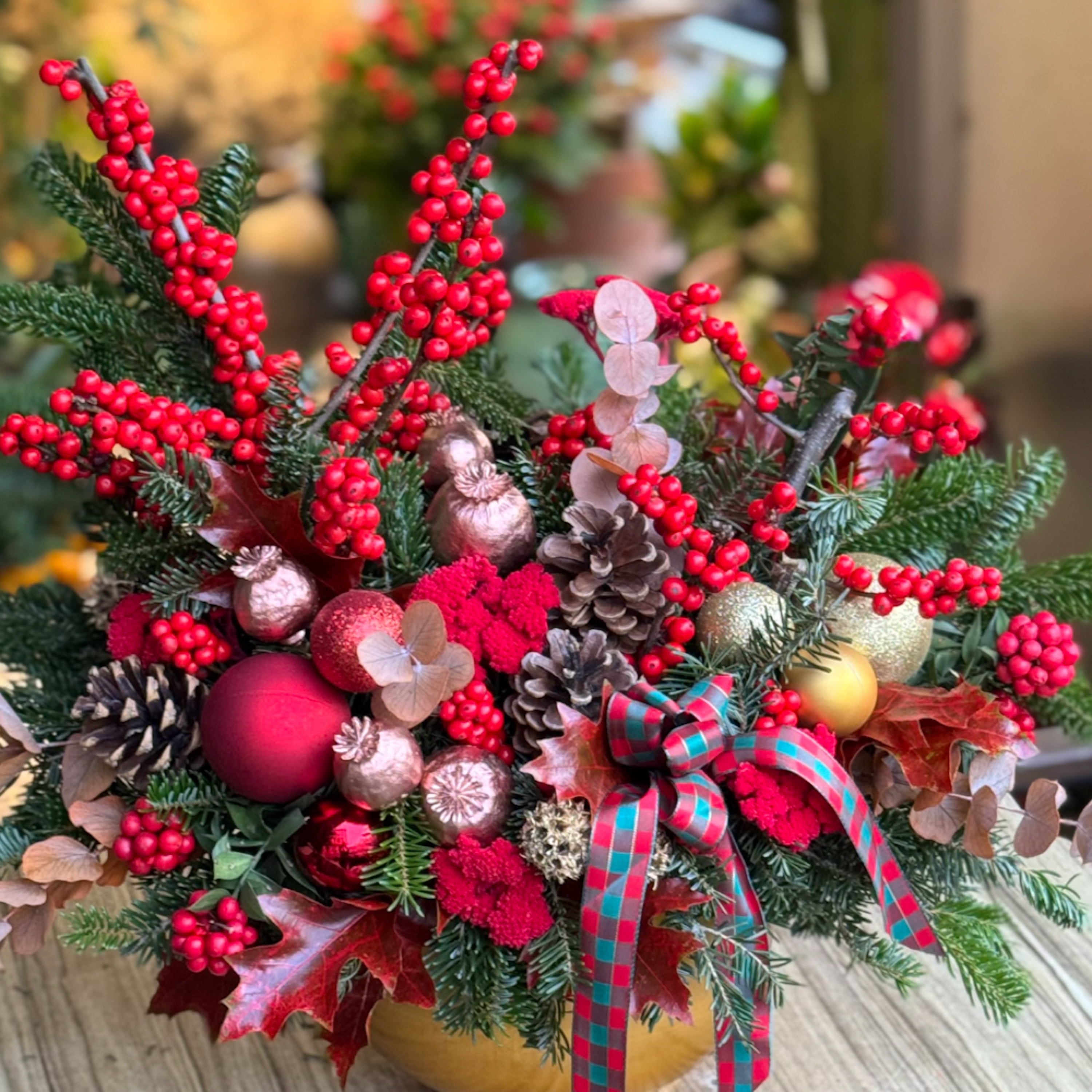 Gold Yılbaşı ilex