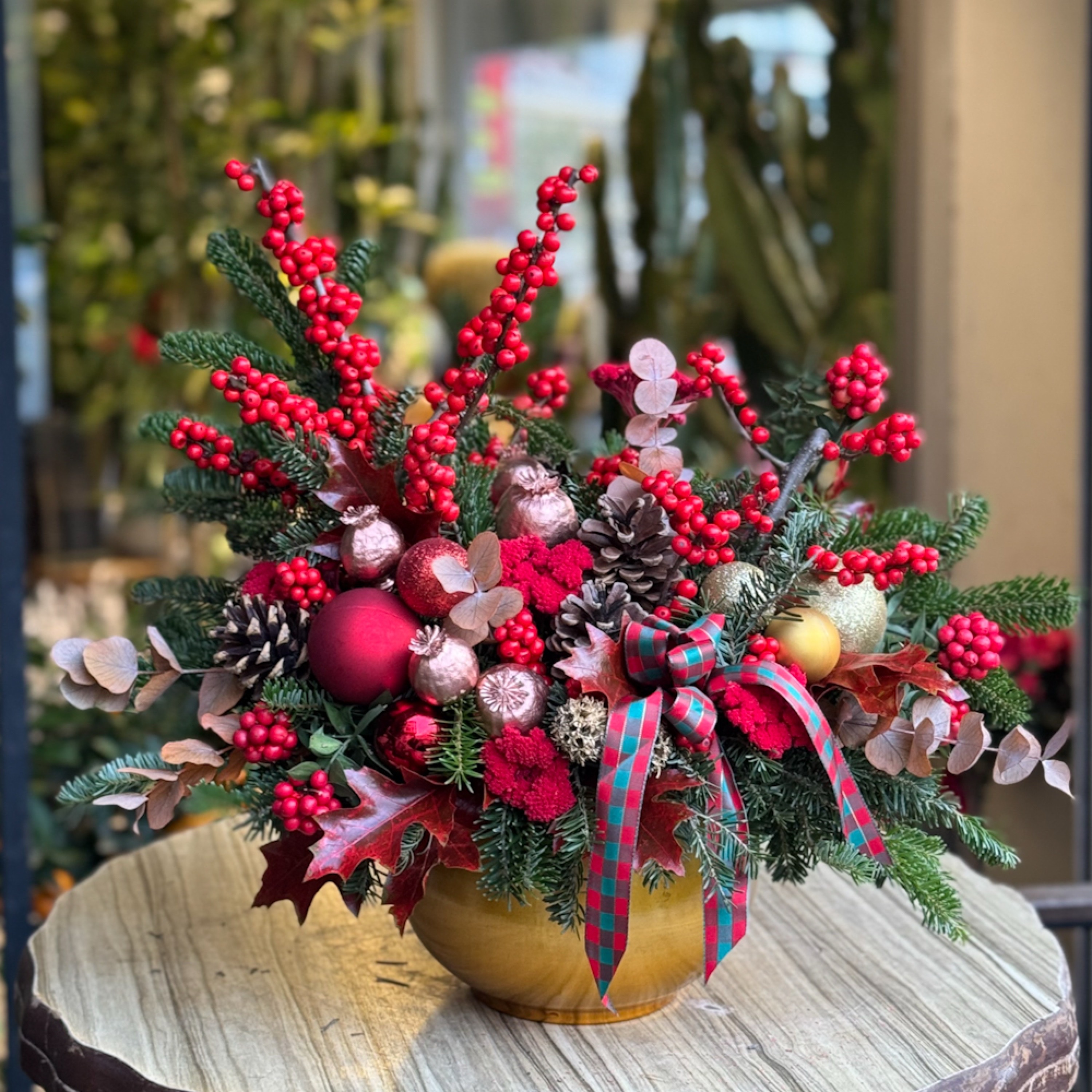 Gold Yılbaşı ilex